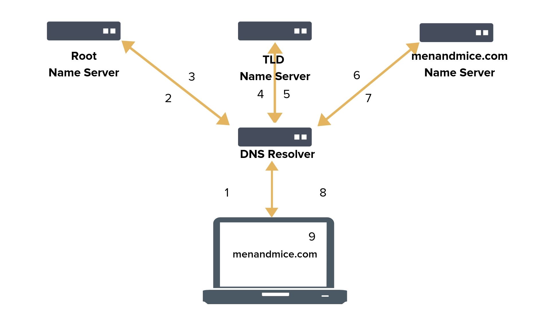 dns-1